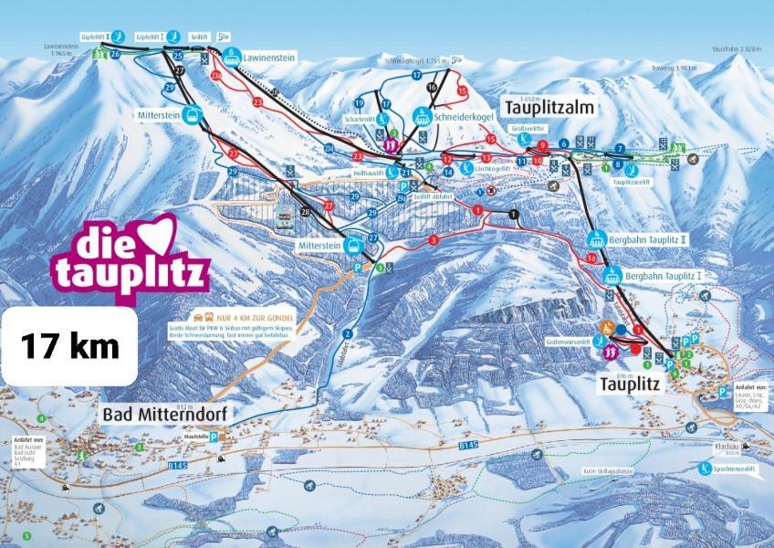 Ausseerland Apartments - Relax, Ski, Hike And Bike, Garden, Parking, Bbq, Near Hallstatt, Loser, Tauplitz And Krippenstein, Free Wi-Fi And Netflix Бад-Аусзе Екстер'єр фото