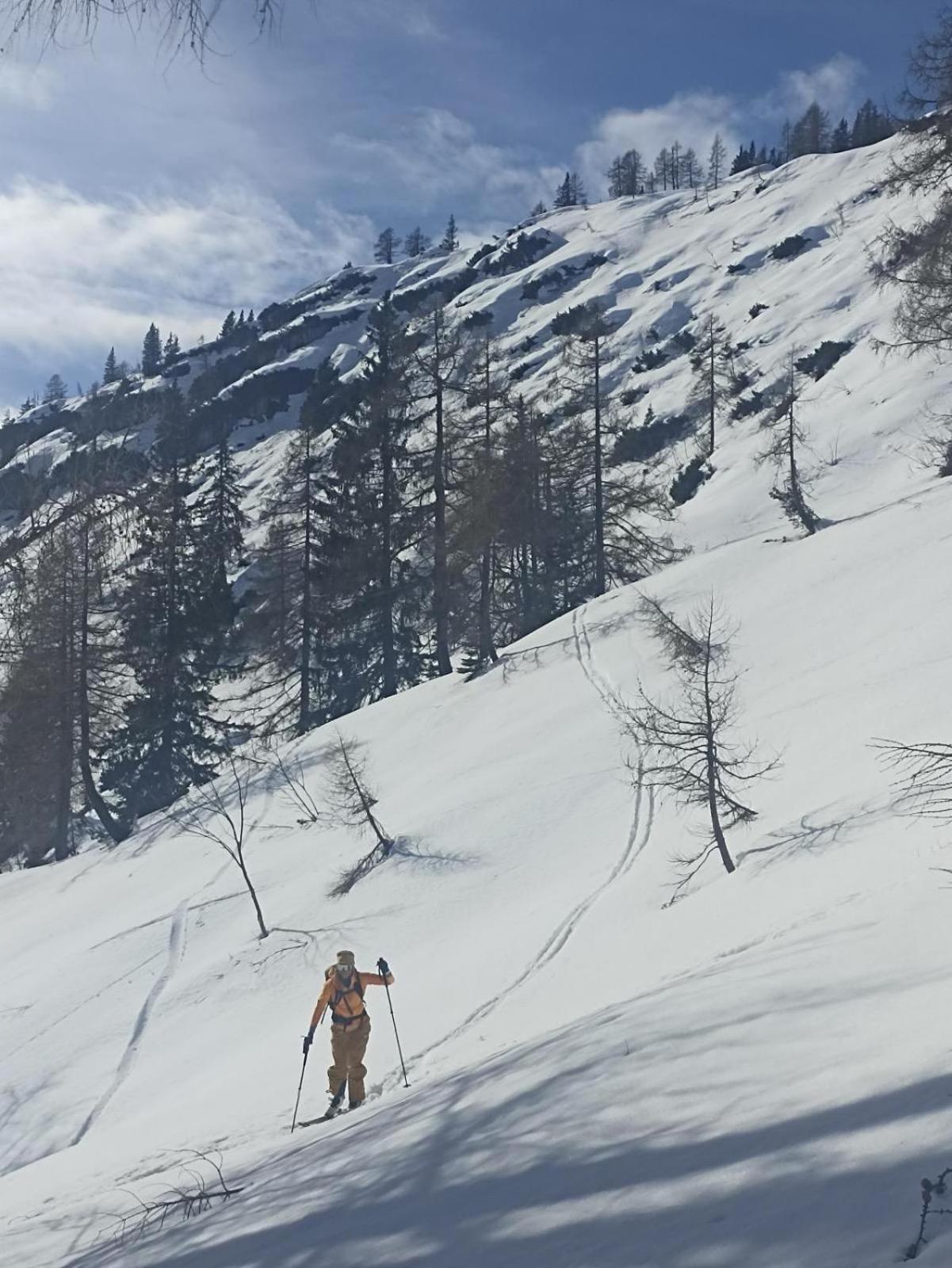 Ausseerland Apartments - Relax, Ski, Hike And Bike, Garden, Parking, Bbq, Near Hallstatt, Loser, Tauplitz And Krippenstein, Free Wi-Fi And Netflix Бад-Аусзе Екстер'єр фото