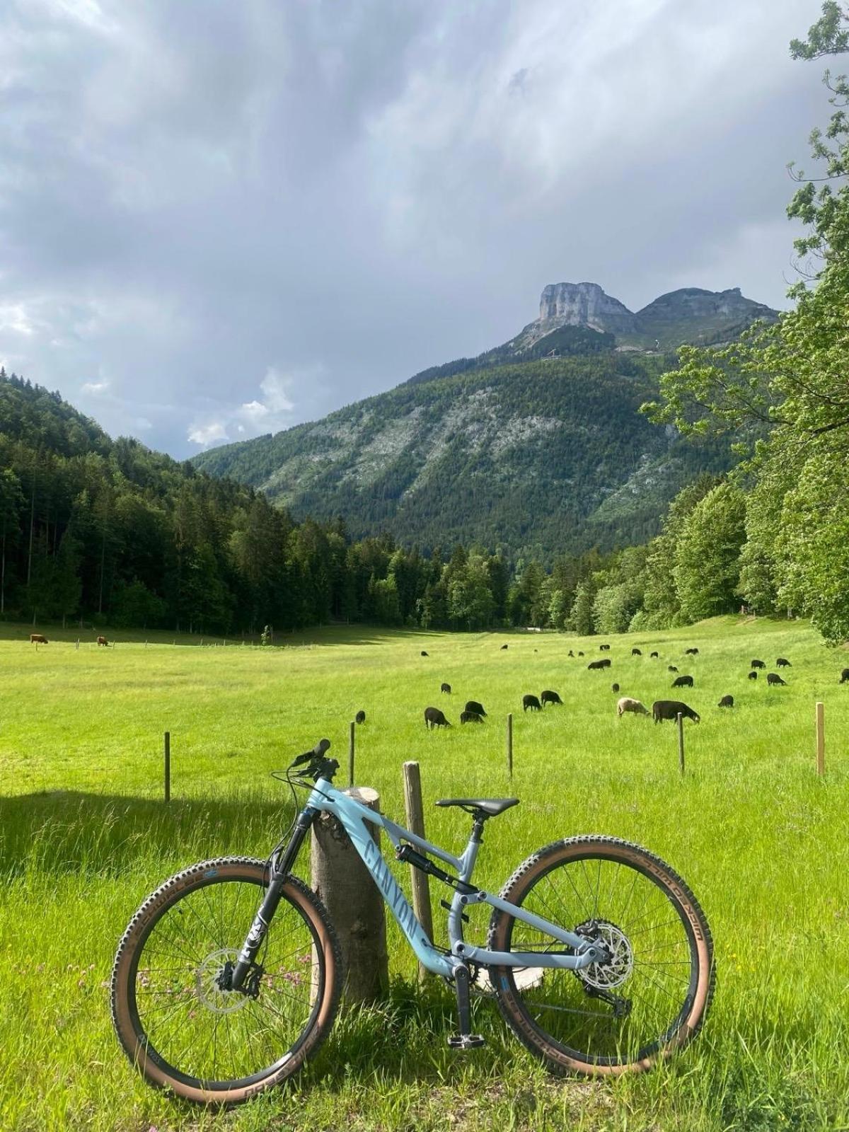 Ausseerland Apartments - Relax, Ski, Hike And Bike, Garden, Parking, Bbq, Near Hallstatt, Loser, Tauplitz And Krippenstein, Free Wi-Fi And Netflix Бад-Аусзе Екстер'єр фото