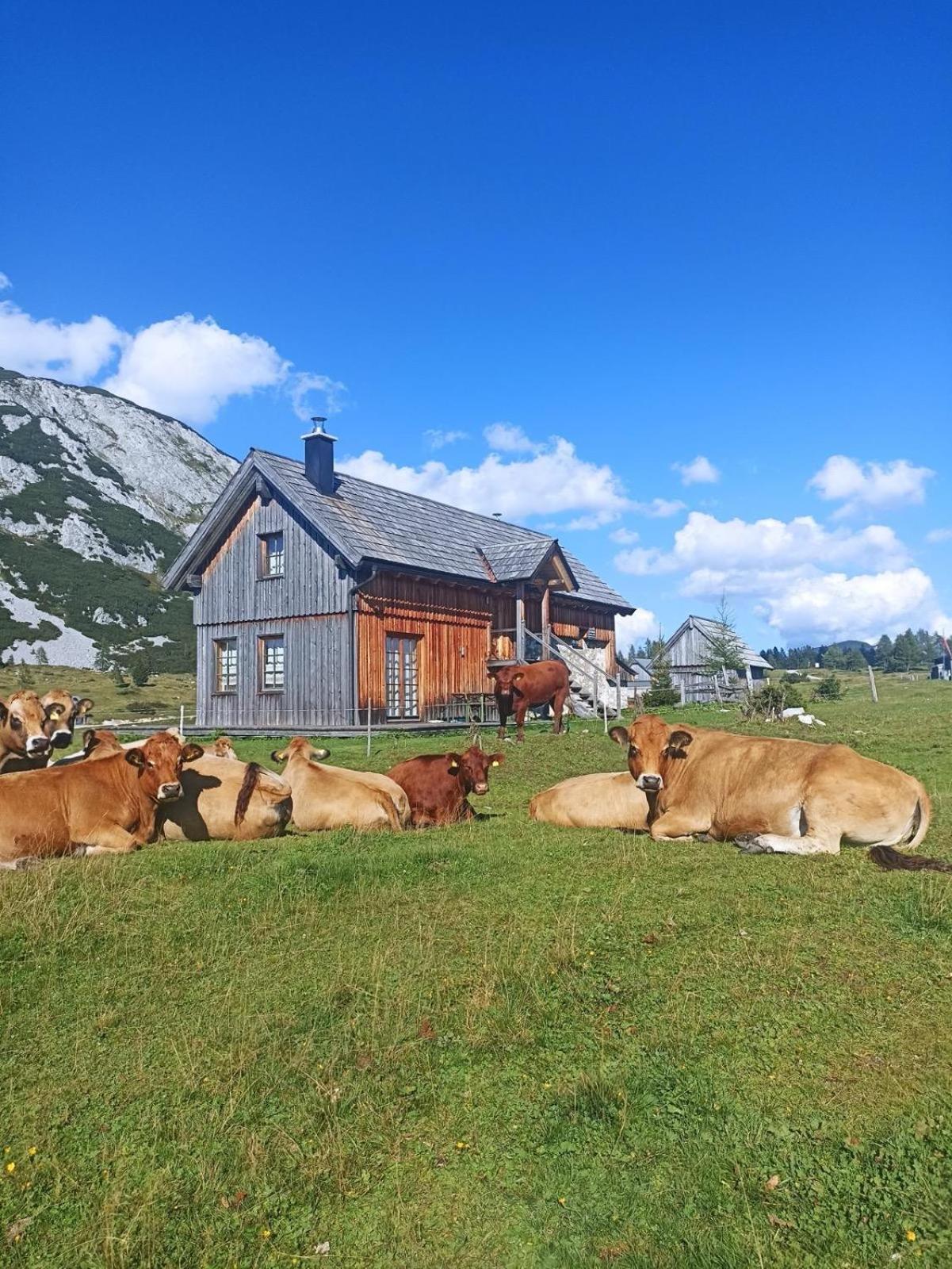 Ausseerland Apartments - Relax, Ski, Hike And Bike, Garden, Parking, Bbq, Near Hallstatt, Loser, Tauplitz And Krippenstein, Free Wi-Fi And Netflix Бад-Аусзе Екстер'єр фото